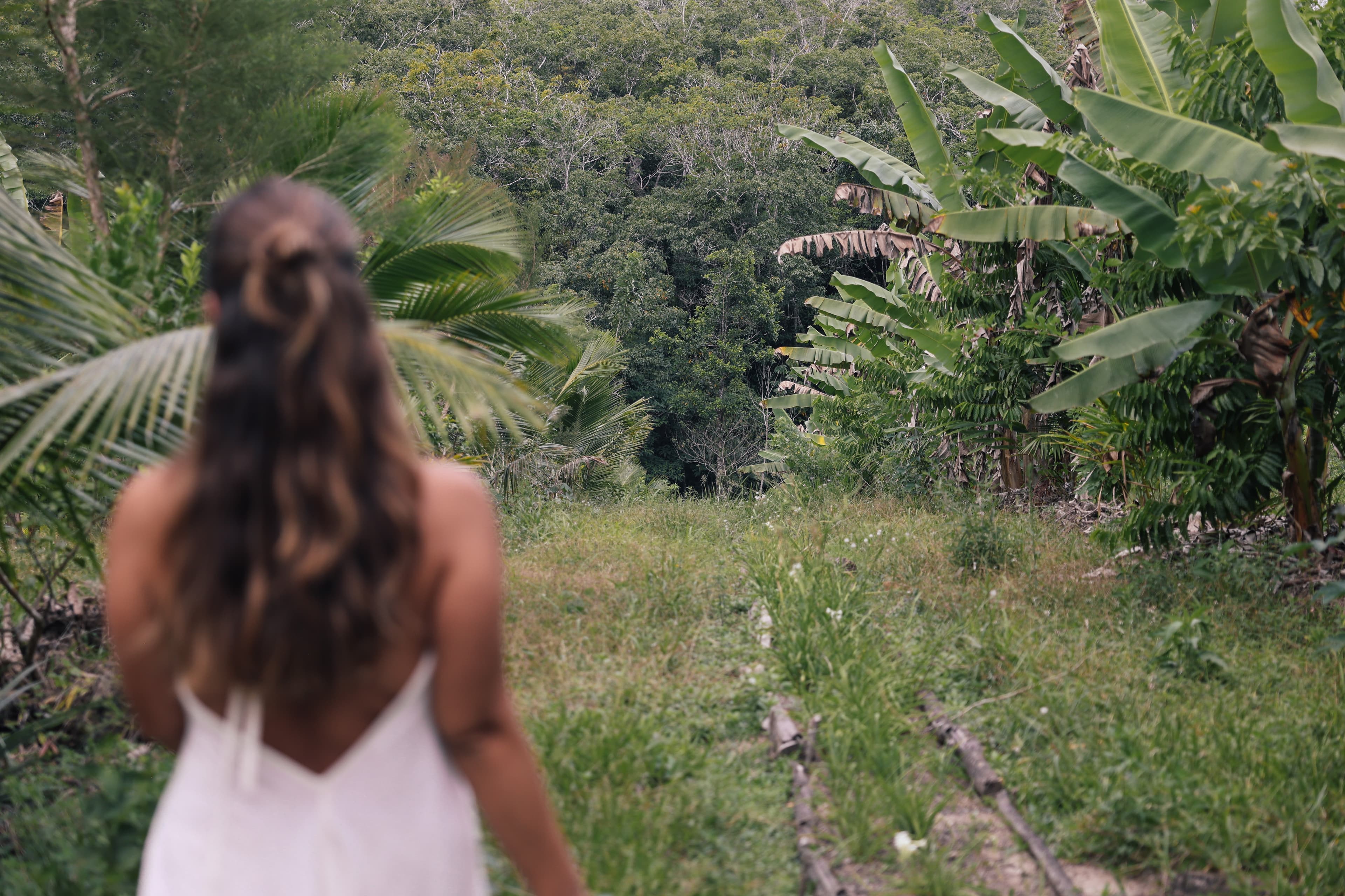 ALUME - Vertically Integrated Ecosystem